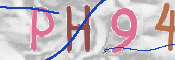 To prevent spam, please prove you are a real person by typing the characters you see in this box into the box below.
