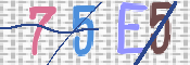 To prevent spam, please prove you are a real person by typing the characters you see in this box into the box below.
