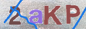 To prevent spam, please prove you are a real person by typing the characters you see in this box into the box below.