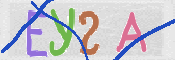 To prevent spam, please prove you are a real person by typing the characters you see in this box into the box below.