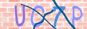 To prevent spam, please prove you are a real person by typing the characters you see in this box into the box below.