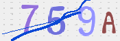 To prevent spam, please prove you are a real person by typing the characters you see in this box into the box below.