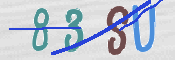 To prevent spam, please prove you are a real person by typing the characters you see in this box into the box below.