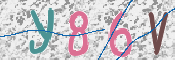 To prevent spam, please prove you are a real person by typing the characters you see in this box into the box below.