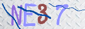 To prevent spam, please prove you are a real person by typing the characters you see in this box into the box below.