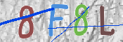 To prevent spam, please prove you are a real person by typing the characters you see in this box into the box below.