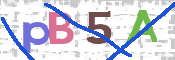 To prevent spam, please prove you are a real person by typing the characters you see in this box into the box below.
