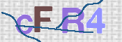 To prevent spam, please prove you are a real person by typing the characters you see in this box into the box below.