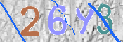To prevent spam, please prove you are a real person by typing the characters you see in this box into the box below.