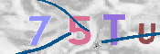 To prevent spam, please prove you are a real person by typing the characters you see in this box into the box below.