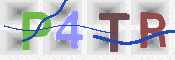 To prevent spam, please prove you are a real person by typing the characters you see in this box into the box below.