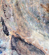Hombori and Bandiagara Dry